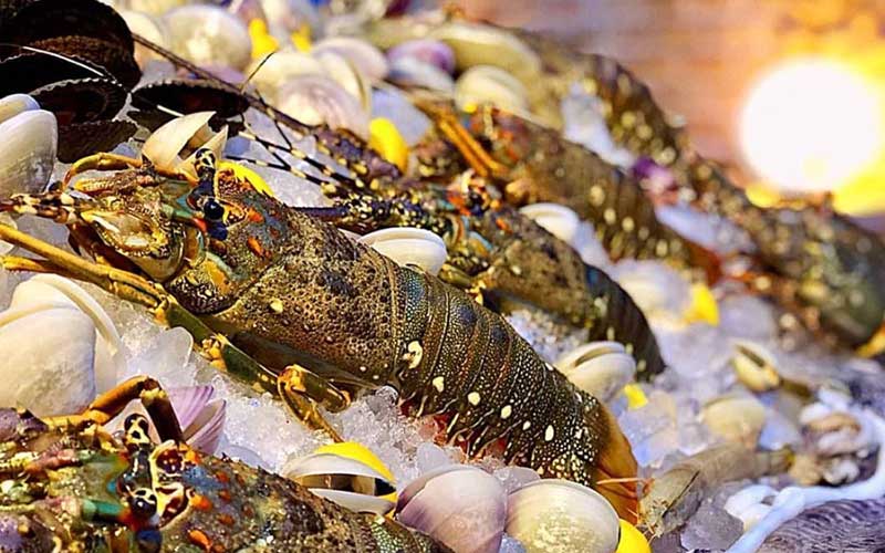 فینگر-فود-21-تشریفات-آسوریگ