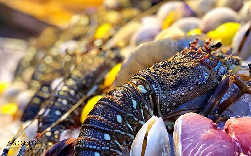 فینگر-فود-22-تشریفات-آسوریگ